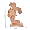 Deveie Crafts Resin Modern Art Valentine Romantic Love Couple Statue for Home Decor, Showpiece for Living Room, Table Décor (25 X 15 CM)